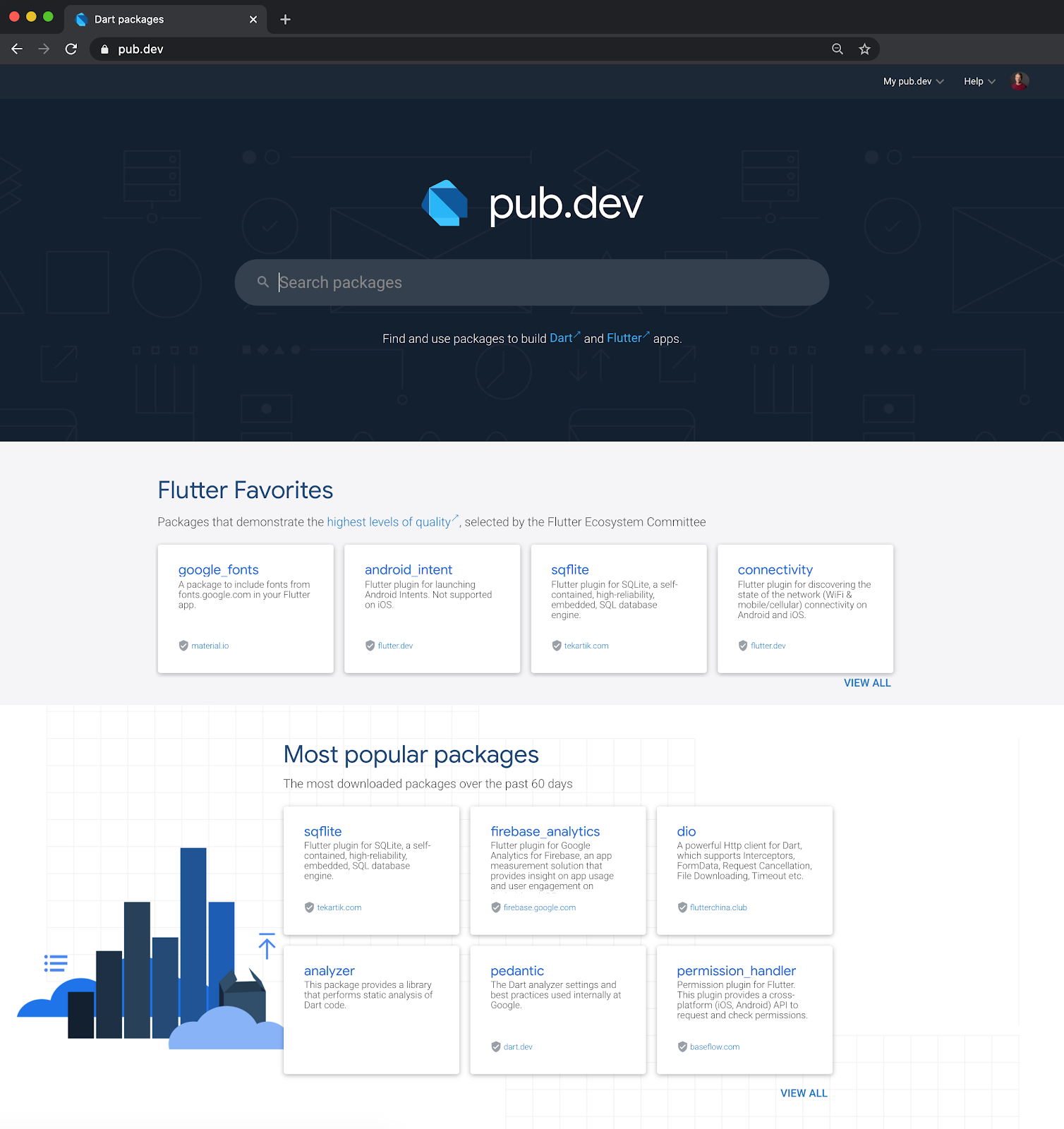 Introducing a brand new pub.dev